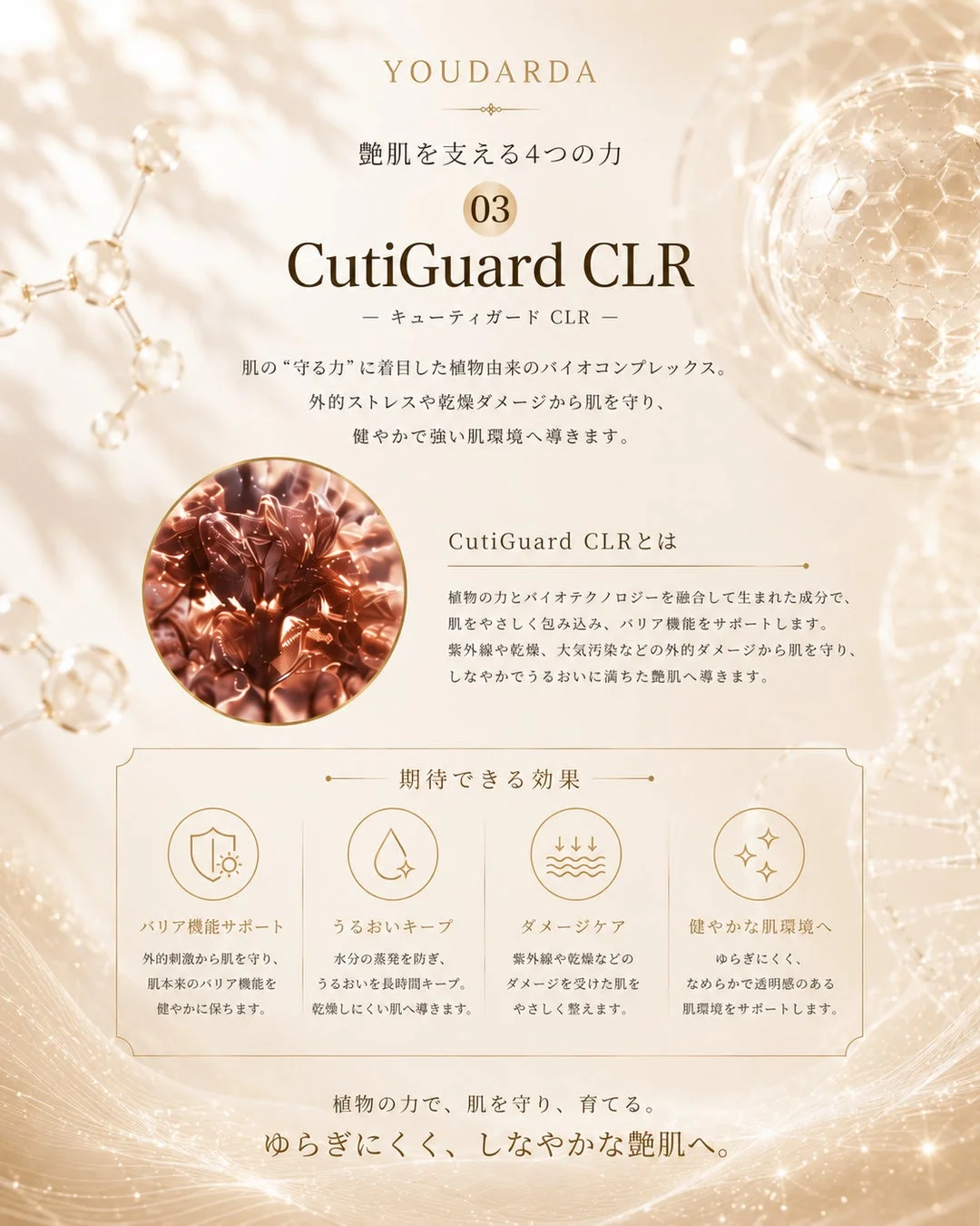 YOUDARDA 艶肌を支える4つの力 03 CutiGuard CLR ― キューティガード CLR ― 肌の"守る力"に着目した植物由来のバイオコンプレックス。外的ストレスや乾燥ダメージから肌を守り、健やかで強い肌環境へ導きます。CutiGuard CLRとは 植物の力とバイオテクノロジーを融合して生まれた成分で、肌をやさしく包み込み、バリア機能をサポートします。紫外線や乾燥、大気汚染などの外的ダメージから肌を守り、しなやかでうるおいに満ちた艶肌へ導きます。期待できる効果 バリア機能サポート 外的刺激から肌を守り、肌本来のバリア機能を健やかに保ちます。うるおいキープ 水分の蒸発を防ぎ、うるおいを長時間キープ。乾燥しにくい肌へ導きます。ダメージケア 紫外線や乾燥などのダメージを受けた肌をやさしく整えます。健やかな肌環境へ ゆらぎにくく、なめらかで透明感のある肌環境をサポートします。植物の力で、肌を守り、育てる。ゆらぎにくく、しなやかな艶肌へ。