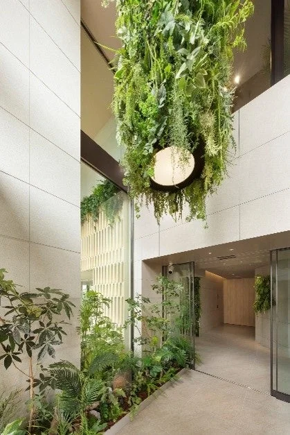 植物のある空間