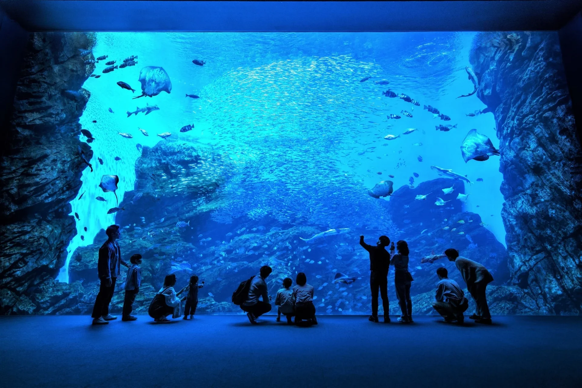 青い光に照らされた巨大な水槽で、多くの人々が海洋生物を鑑賞している様子