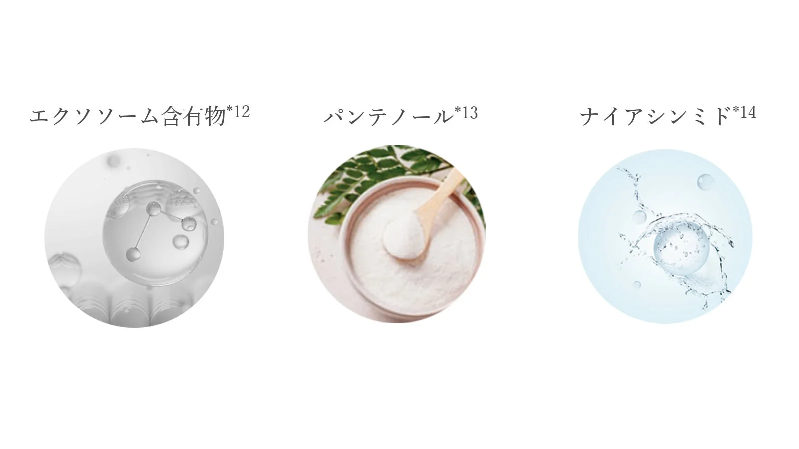 エクソソーム含有物、パンテノール、ナイアシンアミドの紹介