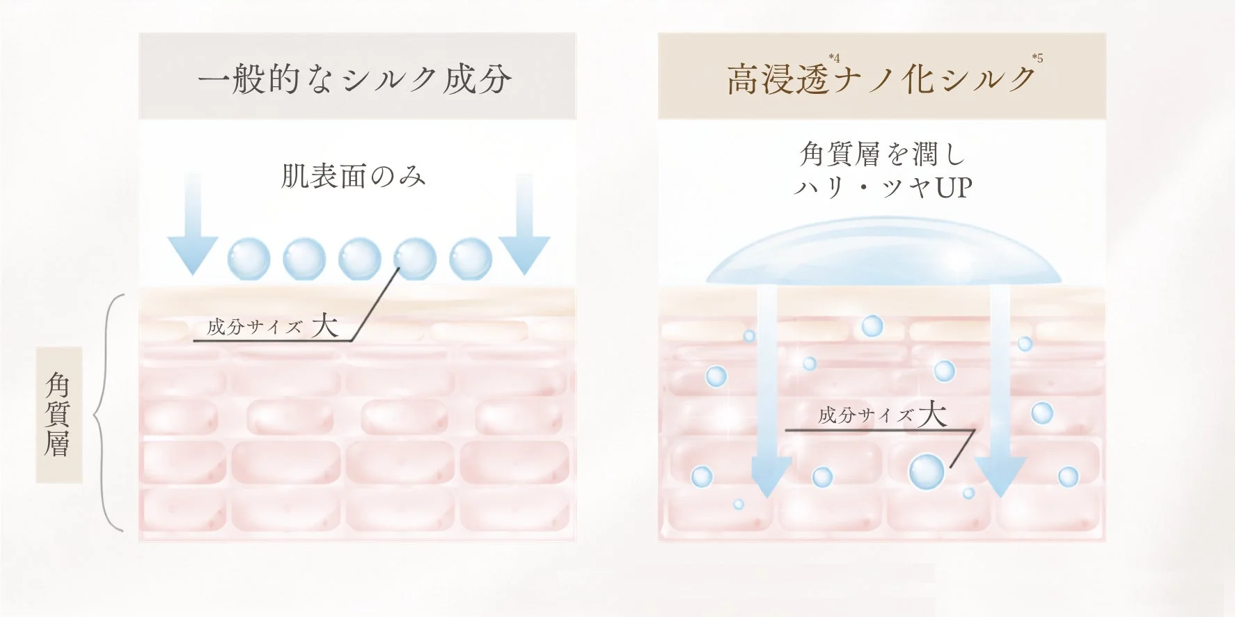 高浸透ナノ化シルクの浸透イメージ
