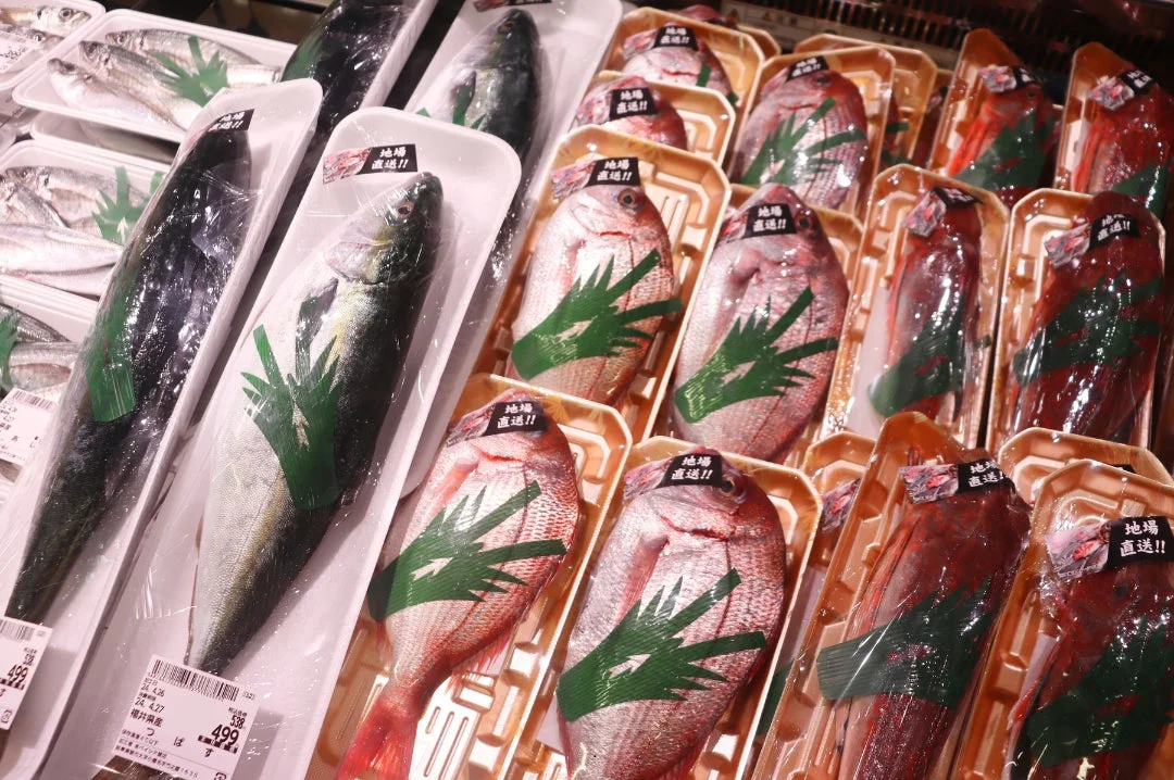 新鮮な魚介類が並ぶ鮮魚コーナー