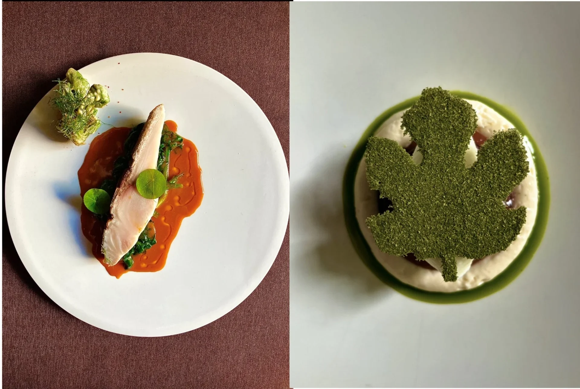 高級レストランで提供されるような二種類の料理