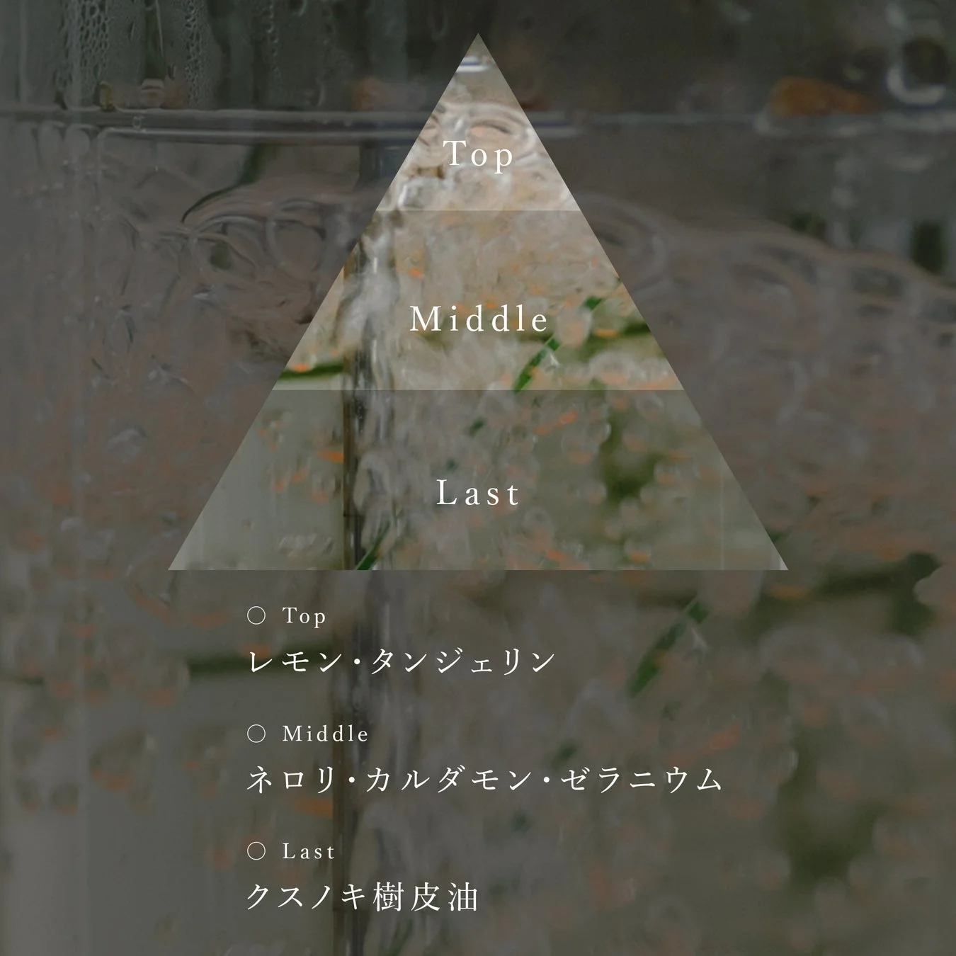 香りの構成