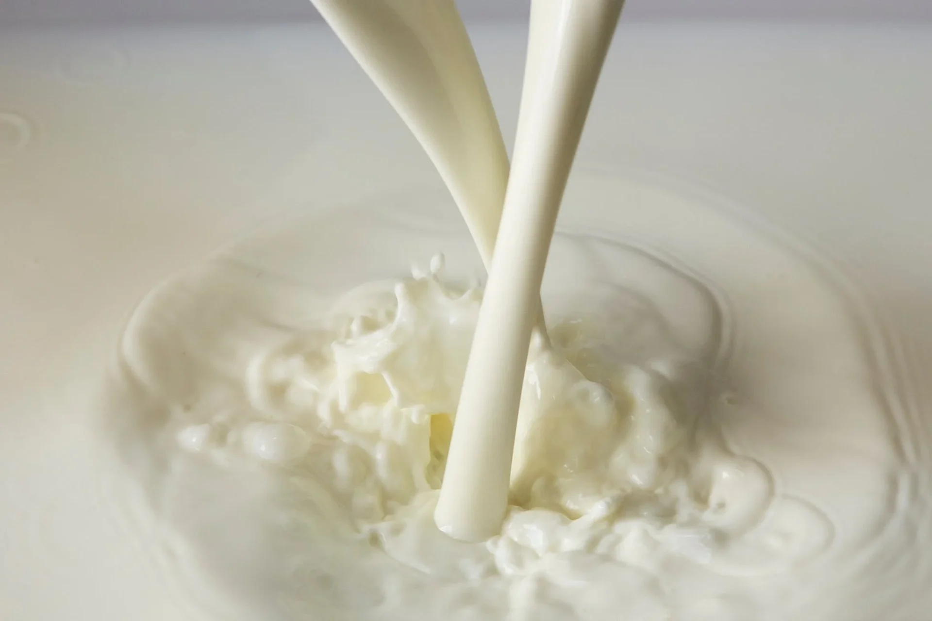 新鮮な牛乳が注がれる様子