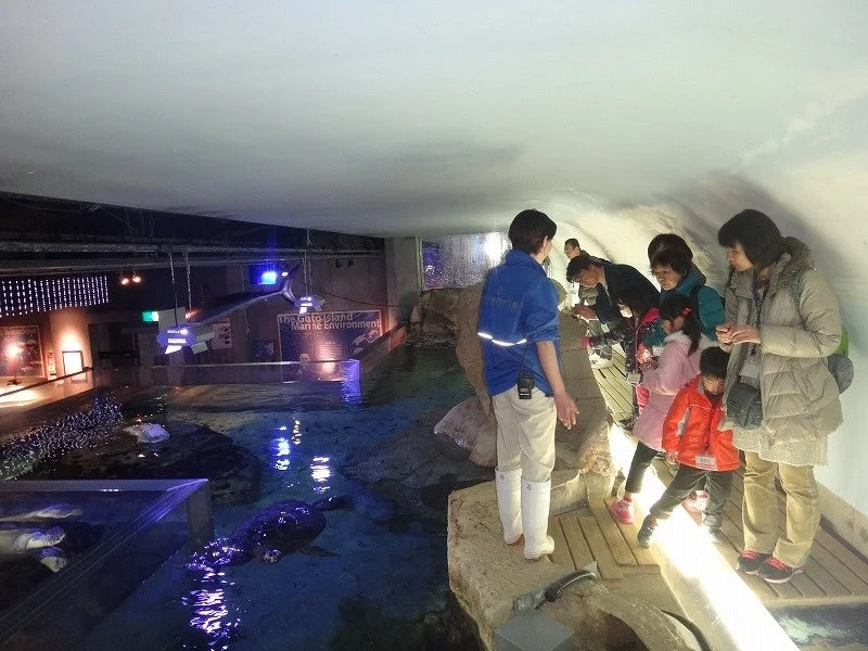 水族館の屋内展示とスタッフ