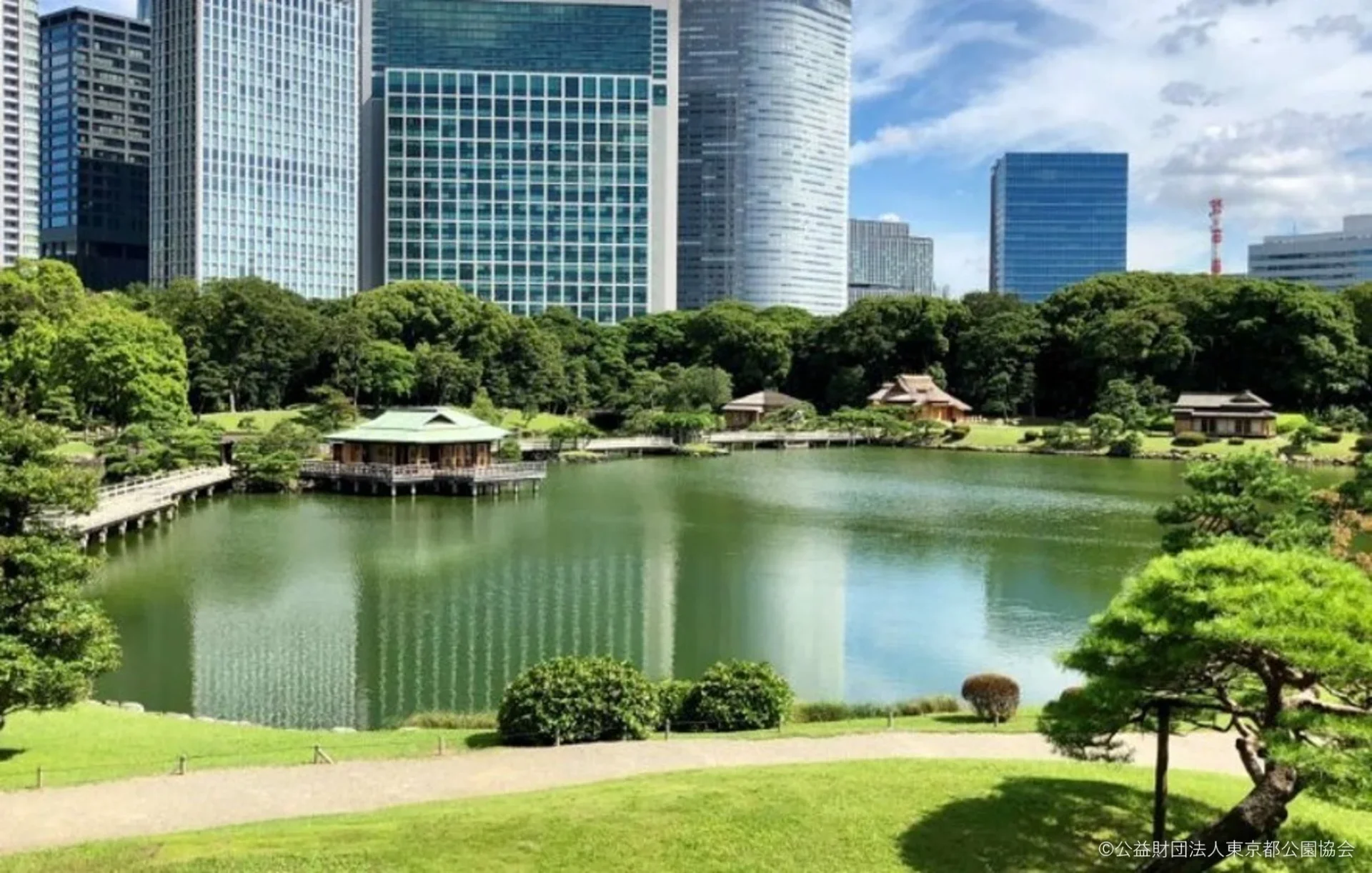 近代的な高層ビル群を背景にした日本庭園