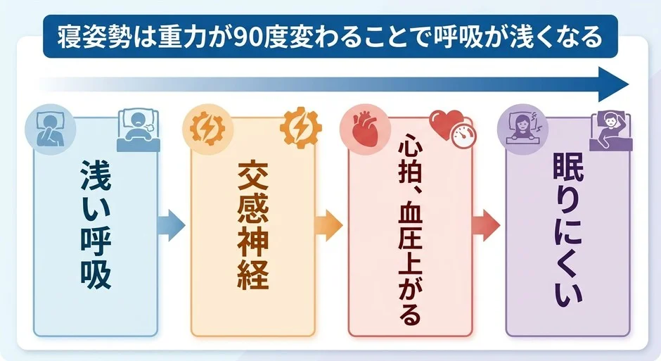 寝姿勢による呼吸の浅さ、交感神経、心拍・血圧上昇、眠りにくさのメカニズム