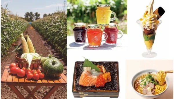 大阪市内最速開催！あべのハルカス近鉄本店「大北海道展」で旬の味覚と「本気の海苔弁当」を堪能！