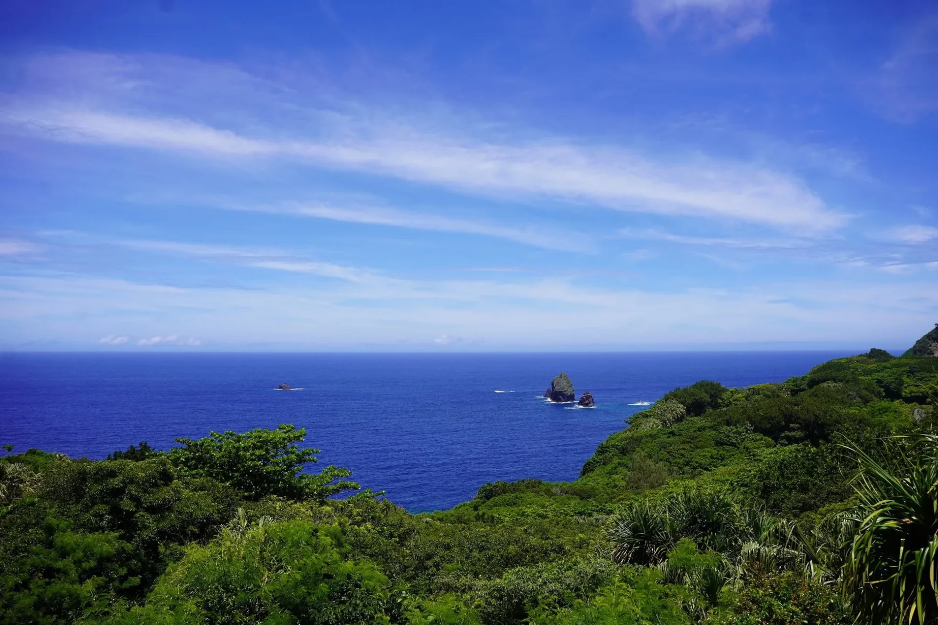 小笠原の美しい海岸線の風景