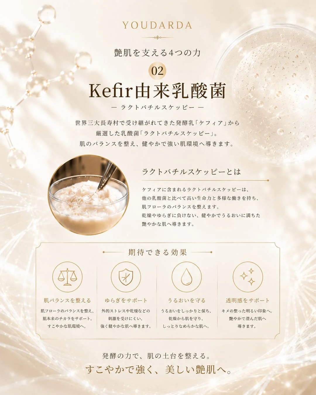 YOUDARDA 艶肌を支える4つの力 02 Kefir由来乳酸菌 ー ラクトバチルスケッピー ー 世界三大長寿村で受け継がれてきた発酵乳「ケフィア」から厳選した乳酸菌「ラクトバチルスケッピー」。 肌のバランスを整え、健やかで強い肌環境へ導きます。 ラクトバチルスケッピーとは ケフィアに含まれるラクトバチルスケッピーは、他の乳酸菌と比べて高い生命力と多様な働きを持ち、肌フローラのバランスを整えます。 乾燥やゆらぎに負けない、健やかでうるおいに満ちた艶やかな肌へ導きます。 期待できる効果 肌バランスを整える 肌フローラのバランスを整え、肌本来のチカラをサポート。すこやかな肌環境へ。 ゆらぎをサポート 外的ストレスや乾燥などの刺激を受けにくい、強く健やかな肌へ導きます。 うるおいを守る うるおいをしっかりと保ち、乾燥から肌を守り、しっとりなめらかな肌へ。 透明感をサポート キメの整った明るい印象へ。艶やかで澄んだ肌へ導きます。 発酵の力で、肌の土台を整える。 すこやかで強く、美しい艶肌へ。