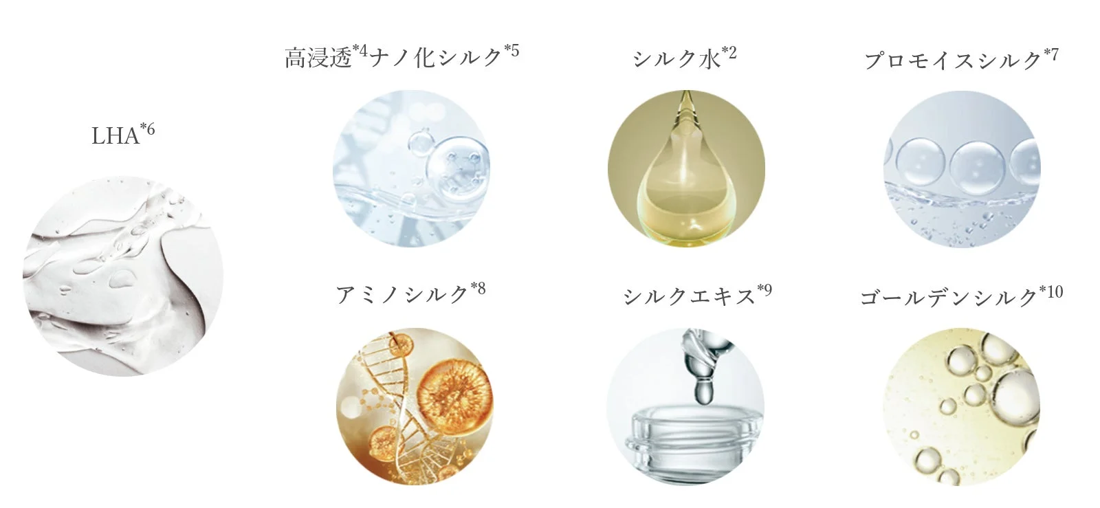 6種のシルク成分の紹介