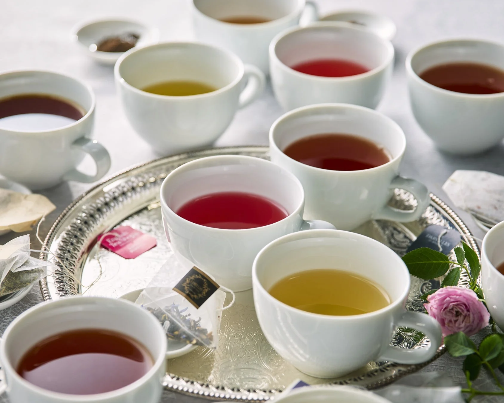 様々な紅茶の試飲