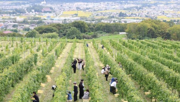 長野県東御市で夢活PBL「東御市の一員になろうプロジェクト」を実施(通信制ID学園高校)