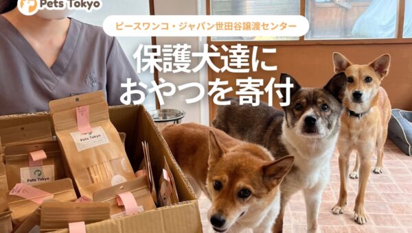 Pets Tokyo、保護犬たちへおやつを寄付。ピースワンコ・ジャパン 世田谷譲渡センターを訪問
