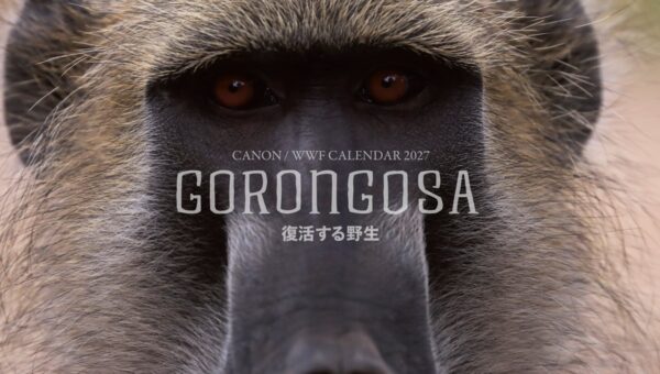 「キヤノン/WWF岩合光昭カレンダー2027 GORONGOSA～復活する野生～」を発売