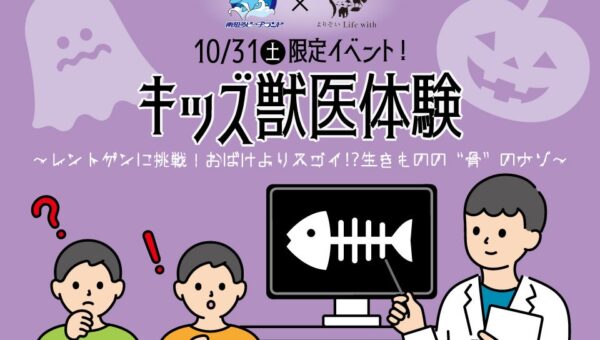 【南知多ビーチランド】1０月３１日(土)にハロウィン体験型イベント開催！＜愛知＞