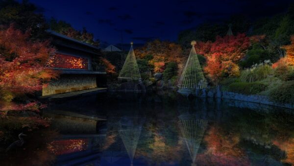 豊島区立目白庭園 秋の庭園ライトアップ『TERASU2026』