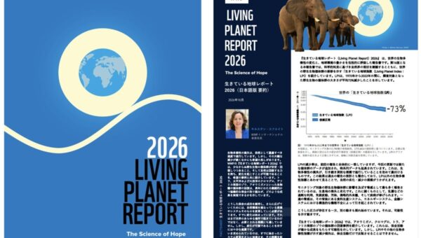 WWF『生きている地球レポート2026』を発表 「生物多様性の豊かさ」が73％減少