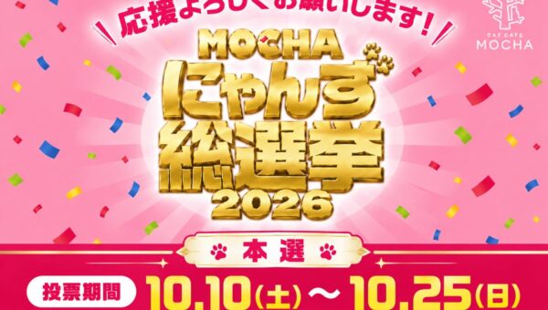 全国の代表にゃんずが集結！！あなたの1票で“推しにゃん”がグッズ化！？ 「MOCHAにゃんず総選挙2026 」本選