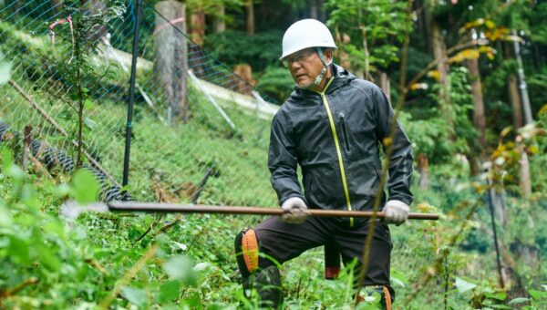 Amazon、日本全国20 か所で森林再生と生物多様性保全活動に投資