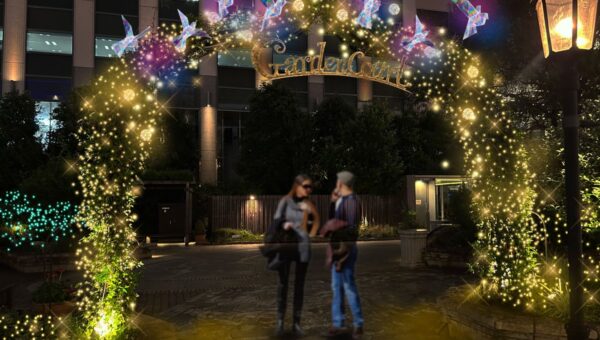 「深川ギャザリア」ウィンターイルミネーション『Wings to the Future～光とともに、未来へ羽ばたく。～』を開催