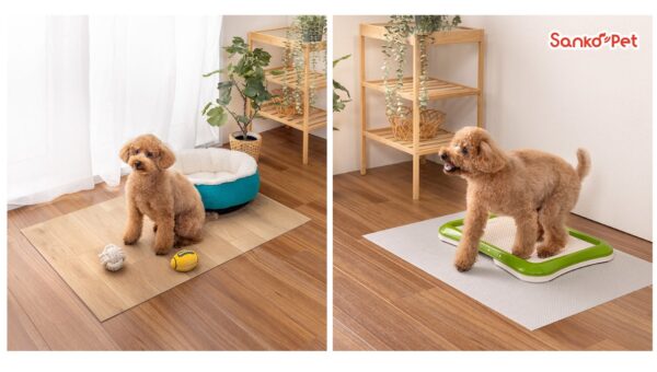 【Sanko Pet】トイレの粗相や食べこぼし対策に特化したマット＆シート2種を新発売