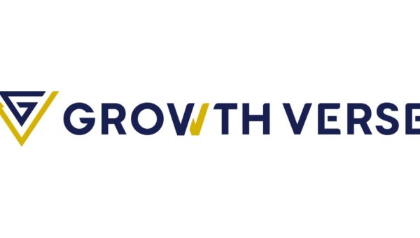 GROWTH VERSE、みずほフィナンシャルグループの「内製開発ラボ」にてFDE支援を実施